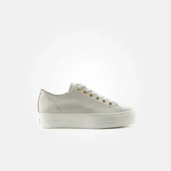 Paul Green /Gold Trainer