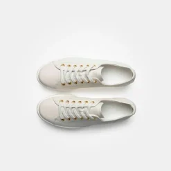 Paul Green /Gold Trainer