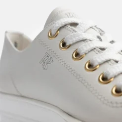 Paul Green /Gold Trainer