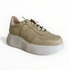 Wonders Chunky Trainer