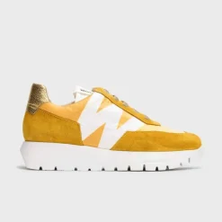 Wonders Odisei Trainer
