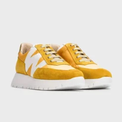 Wonders Odisei Trainer
