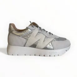 Wonders Oslo /Grey Trainer
